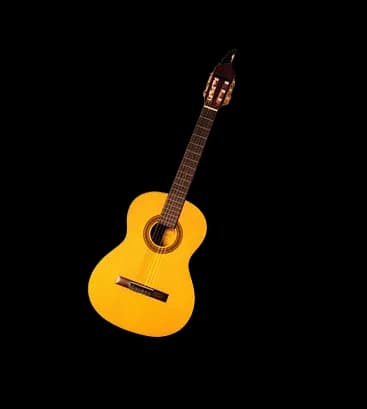 Acoustic guitar